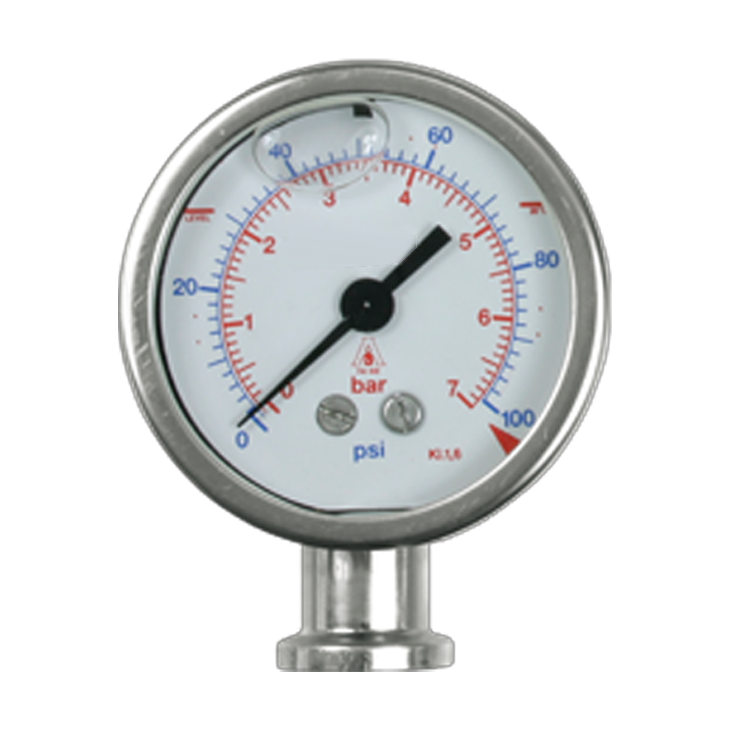 DN63 Diaphragm Seal Pressure Gauge